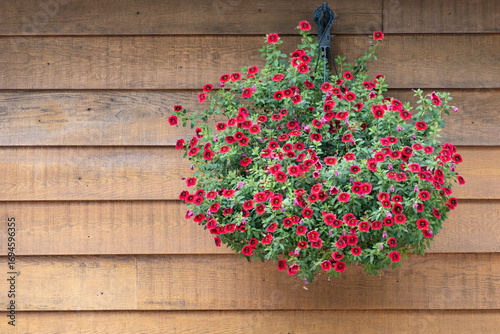 A Big Basket of Small Red Patunias Hanging Against the Exterior Wall of a Wooden Cottage