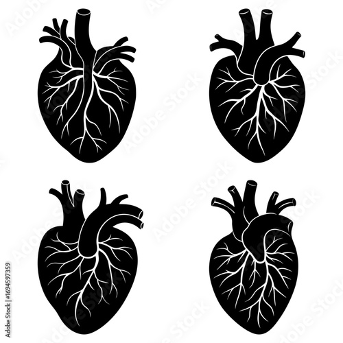 Four anatomical heart illustrations in black and white with detailed vein structures shown clearly in each heart
