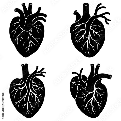 Four anatomical heart illustrations in black and white showing arteries and veins on a white background