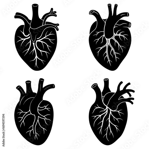 Four anatomical hearts displayed in black silhouette on a white background in detailed illustration