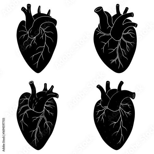Four anatomical heart illustrations in black and white with detailed vein and artery structure shown clearly