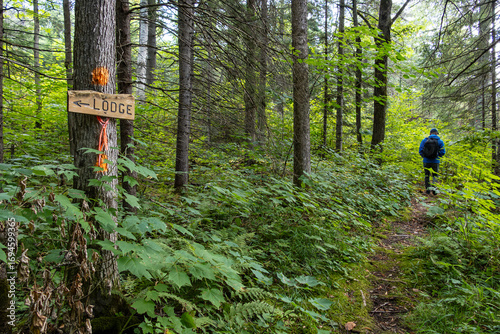Back View of a Man Hiking on a Marked Trail in the Woods