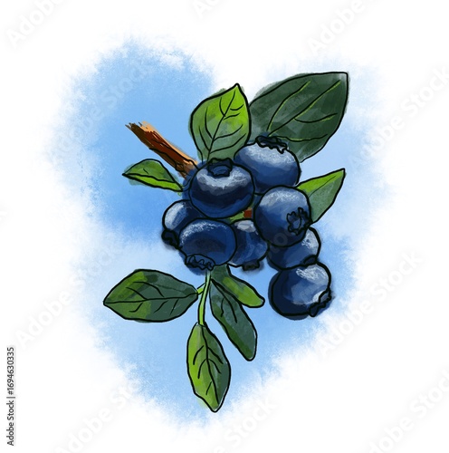 black berries with green leaves