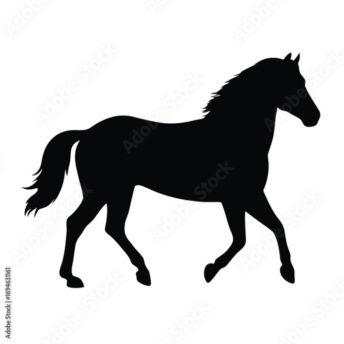 Black horse silhouette running graphic design vector illustration equine animal mammal art image