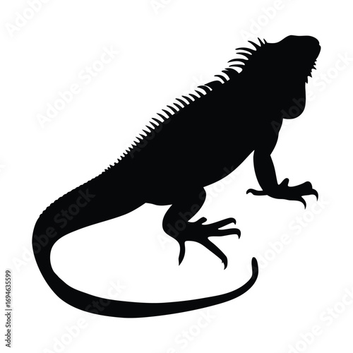 Iguana reptile exotic pet lizard silhouette vector graphic illustration black and white design art