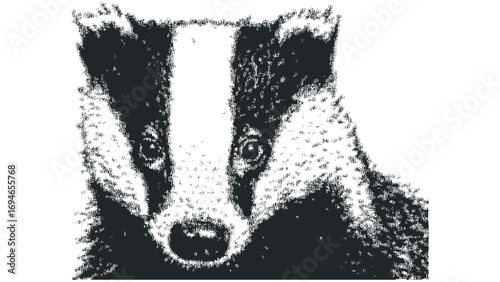 Badger face monochrome halftone with transparent background. Vector hand drawn illustration