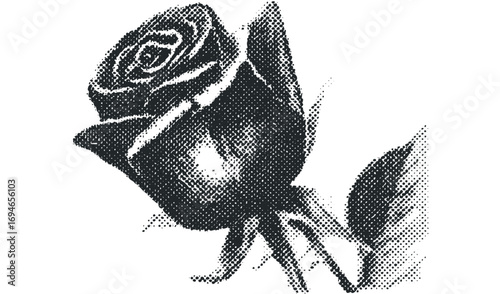 Halftone Rose Petal Close-up Image. Vector hand drawn illustration
