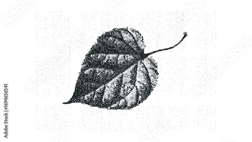 Mono leaf shape on textured white background. Vector hand drawn illustration