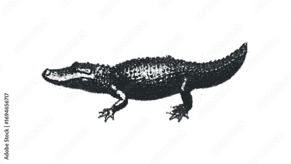 Fototapeta premium Alligator profile on transparent background. Vector hand drawn illustration