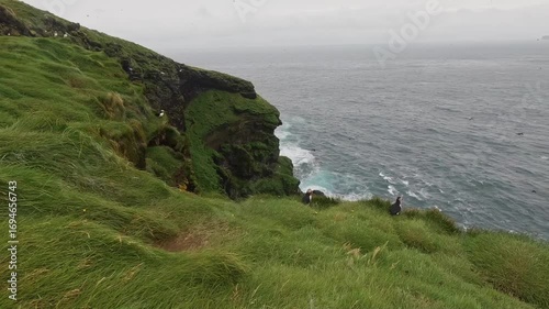 Stunning natural scenery of the Vestmannaeyjar island. Puffin Lair in northern Iceland. Summer scenery of green hills and tall cliffs with waves crashing
