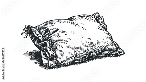 Drawing of a full, uncooked turkey on a transparent background. Vector hand drawn illustration