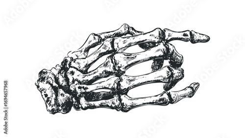 Skeletal hand pointing gesture on transparent. Vector hand drawn illustration
