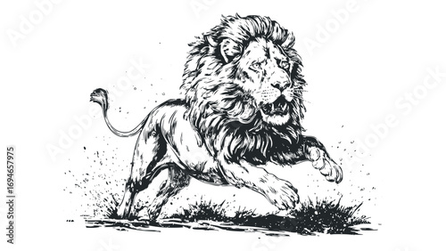 Ink drawing of a lion with a flowing mane running dynamically through grass. Vector hand drawn illustration