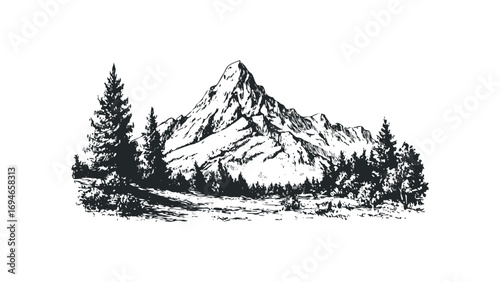 Sketch of a Jagged Mountain Peak Surrounded by Pine Trees. Vector hand drawn illustration