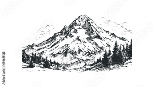 Pencil Sketch of Majestic Snowy Mountain Range with Pine Forest. Vector hand drawn illustration