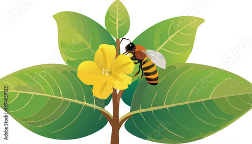 A peaceful pollination scene that teaches children about environmental stewardship
Bee on Creeping Burhead flower as a metaphor for cooperation in nature