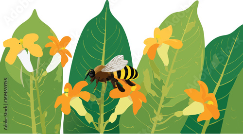 Bee on Creeping Burhead flower as a metaphor for cooperation in nature
A detailed view of pollination that supports science education and youth curiosity