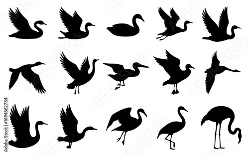 Vector art of collection of various bird silhouettes