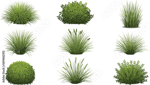 Collection of realistic green grass and bush plants vector illustration, natural garden foliage elements for landscaping, park decoration, eco design projects.