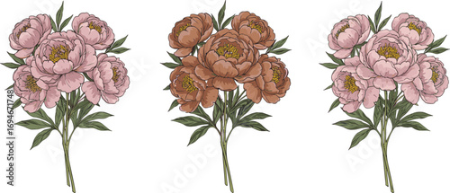 Pink and brown peony bouquet clipart, delicate flower bunch, peony petals, floral arrangement, garden flowers, nature bouquet, vector art