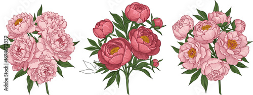 Pink peony flower bouquet illustration, hand-drawn floral clipart, vintage botanical design, romantic garden bloom, wedding vector flower artwork