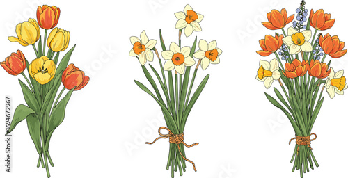 Rustic tulip and daffodil flower bouquets illustration, spring floral clipart for Easter cards, wedding invitations, seasonal decor, and designs