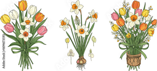 Spring tulip and daffodil flower bouquets with lily of the valley, botanical clipart for Easter cards, wedding, decor, and designs