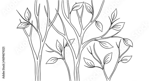 Elegant line art branches with delicate leaves evoke natural beauty and serene simplicity for design projects.