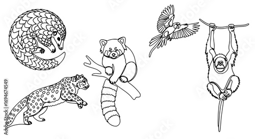 Charming collection of diverse animals including a pangolin, leopard, red panda, parrot, and orangutan
