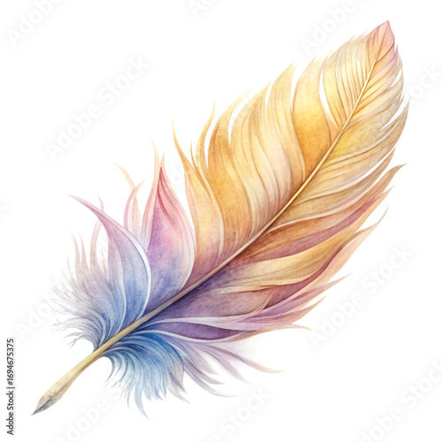 Delicate watercolor feather with pastel colors isolated on transparent background