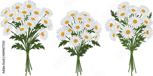 White daisy bouquet clipart, yellow centers, spring wildflowers, fresh floral arrangement, garden blooms, vector flower art, nature bouquet