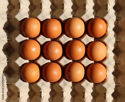 Fresh brown chicken eggs arranged in a carton with natural light and shadows. Top view of organic farm produce for food, nutrition, and healthy lifestyle concepts.