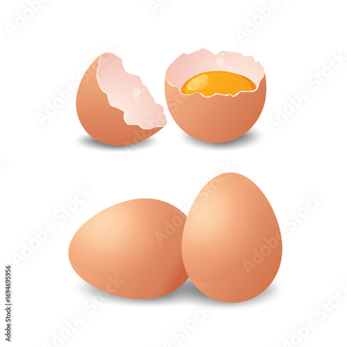 Realistic illustration of whole and cracked eggs with yolk, symbolizing freshness, nutrition