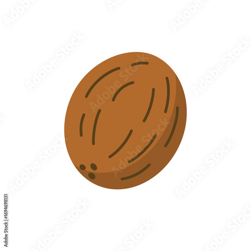 Flat style illustration of a whole coconut Minimalistic design tropical fruit concept isolated on white background