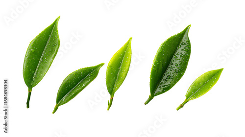 Green tea leaves isolated on a transparent background.