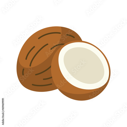 Flat style illustration of a whole coconut and a halved coconut Minimalistic design tropical fruit concept isolated on white background 
