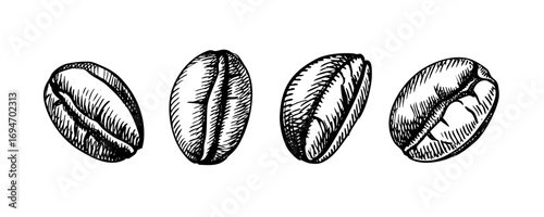 Hand drawn vintage coffee beans. Packaging and logo design. Retro isolated sketch vector illustration.