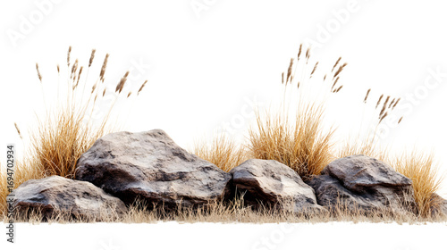Rugged natural landscape with dry grass and weathered rocks, perfect for serene outdoor scenes, Isolated on white background