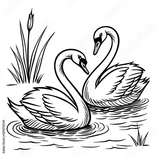 Simple vector illustration of two white swans in love vector illustration of coloring page black and white
