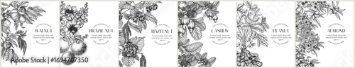  Vector set of 6 banners with branches of nuts. Flyer template with almonds, hazelnuts, cashews, walnuts, peanuts, brazil nuts in engraving style. Growing superfood