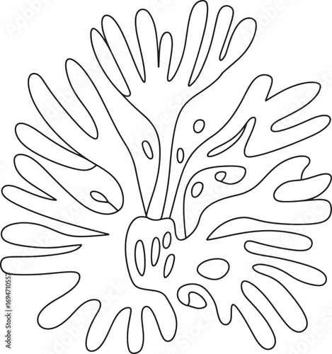 Abstract Seaweed Frond Illustration in Black and White A Simple Outlined Graphic with Organic Shapes and Playful Rounded Forms