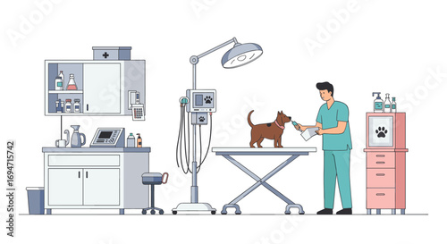 Veterinarian examining dog in modern medical clinic with equipment