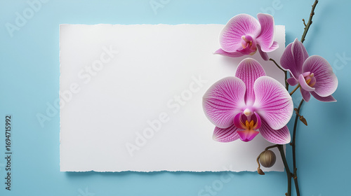 Empty white paper for text with orchids flower of two comer on pastel blue background