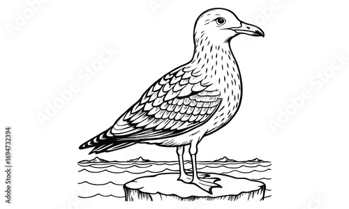 Seagull Kids t shirt design silhouette and vector line art, Detailed High-Quality Line Art, Suitable for Adult Coloring Books, Stress Relief, Relaxation, and Printable Art Therapy Projects.