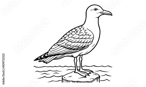 Seagull Kids t shirt design silhouette and vector line art, Detailed High-Quality Line Art, Suitable for Adult Coloring Books, Stress Relief, Relaxation, and Printable Art Therapy Projects.