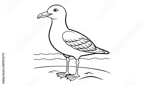 Seagull Kids t shirt design silhouette and vector line art, Detailed High-Quality Line Art, Suitable for Adult Coloring Books, Stress Relief, Relaxation, and Printable Art Therapy Projects.