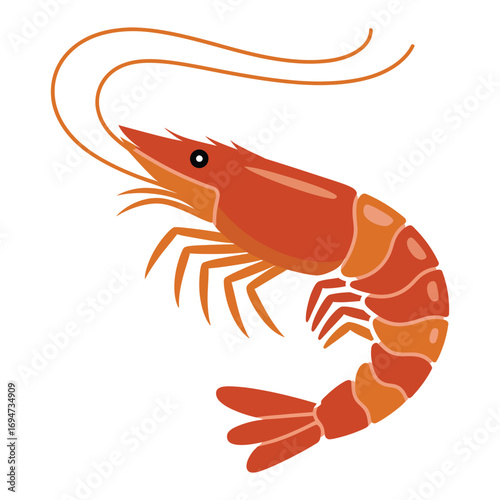shrimp vector illustration