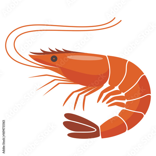 shrimp vector illustration