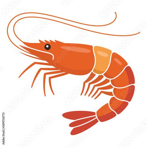 shrimp on white background