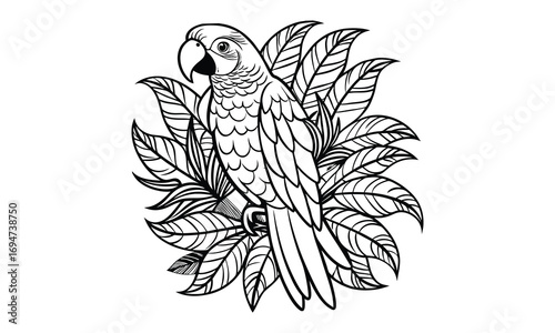 Macaw Kids t shirt design silhouette and vector line art, Detailed High-Quality Line Art, Suitable for Adult Coloring Books, Stress Relief, Relaxation, and Printable Art Therapy Projects.